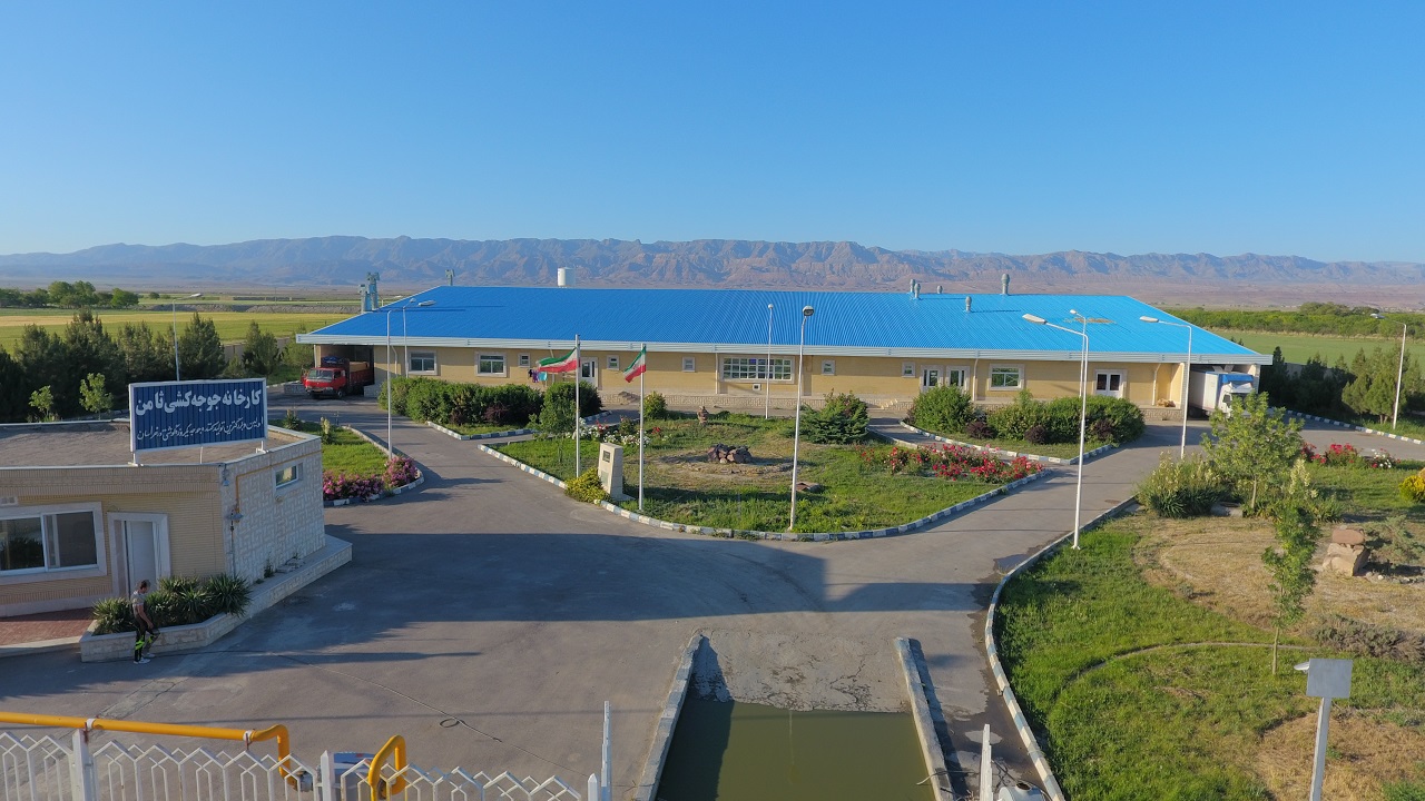 مجموعه مرغ اجداد و مادر دیزباد