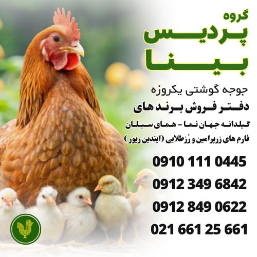 گروه پردیس بینا