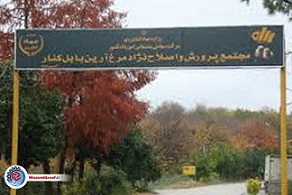 مجتمع لاین بابل کنار