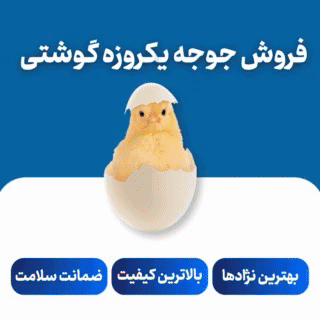 شرکت نعیم